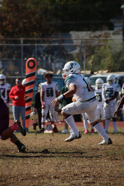 IMG-4294
