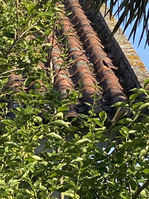 telhado3