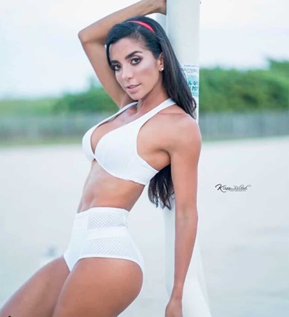 modelo1 1