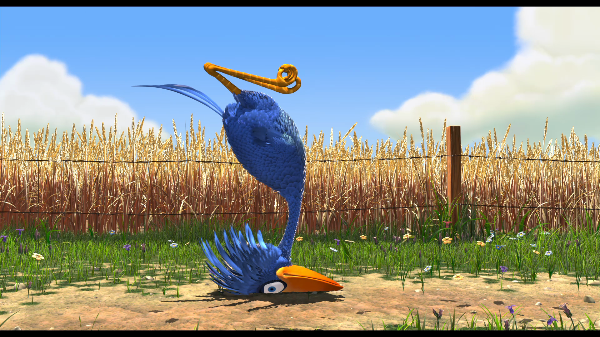 Movie cover image