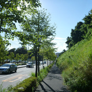 P1340164