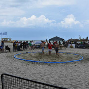 dsc-0497-medium-optimized