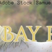 Banner - text