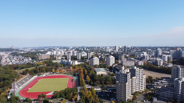 96.jpg