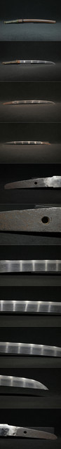DSC8684.jpg