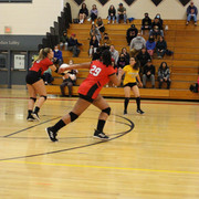 IMG-0262