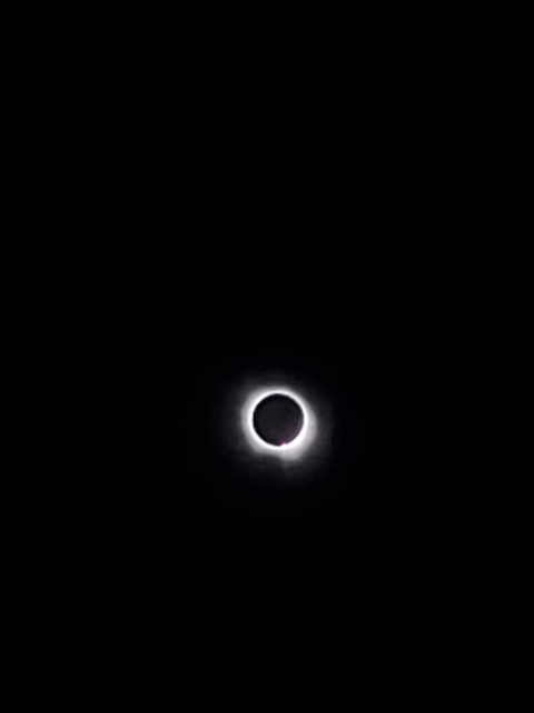20240408-143902.jpg