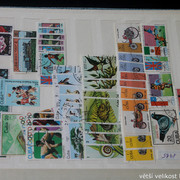 IMG-3510