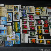 IMG-3348