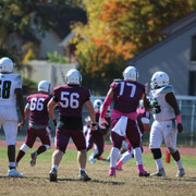 IMG-8310