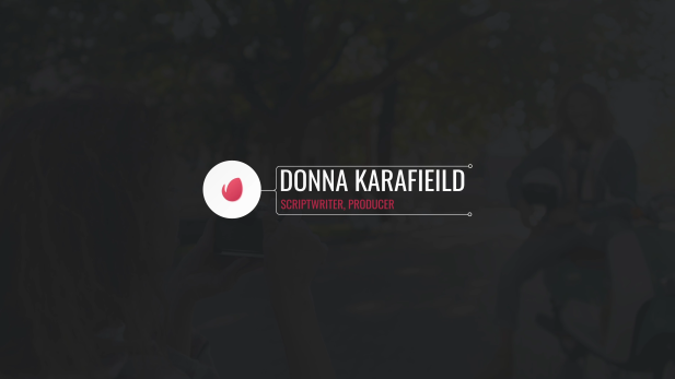 Professional Logo Lower Thirds Set Professional Logo Lower Thirds Set