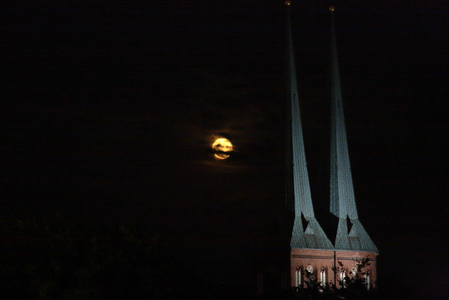 IMG-6224.jpg