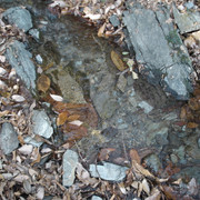 2012-01-09-071