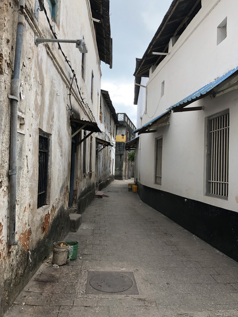IMG 3394