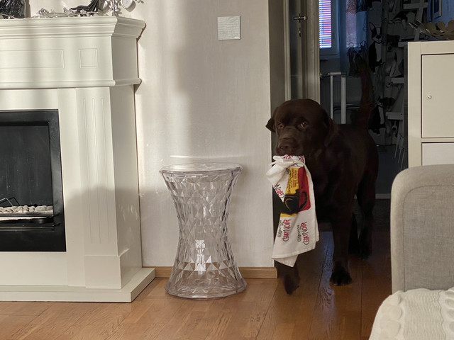 B60859-AC-62-D8-4-E2-F-971-B-AE98013-B51