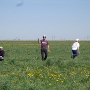 DSC00354