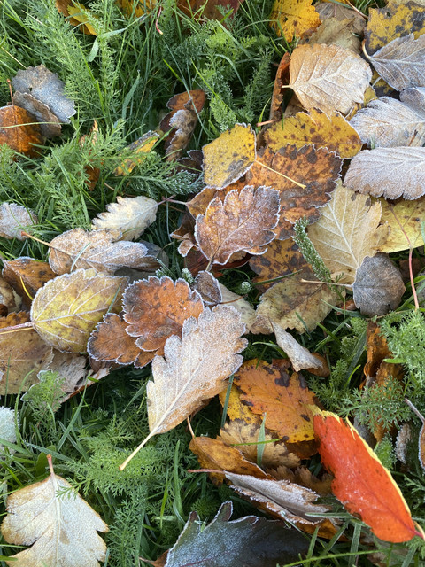 75373-E0-B-9754-4-A9-F-B0-A9-FFB874-E012