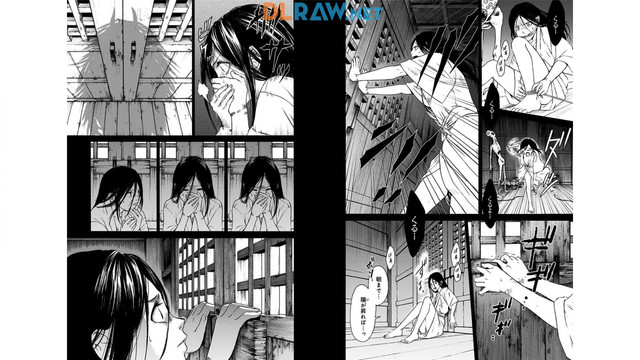 DLRAW-NET-05
