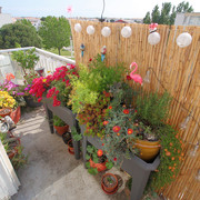 IMG-7829