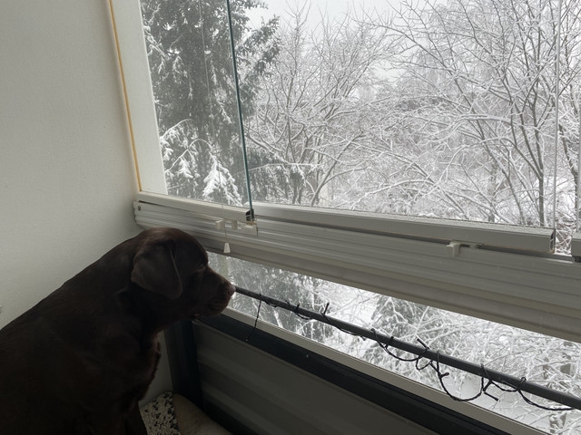 8-D047-FF1-E0-C8-4-D36-8-FB2-C3-A634-FF6