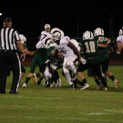 IMG-6636