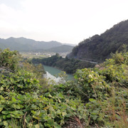 2011-10-08-52