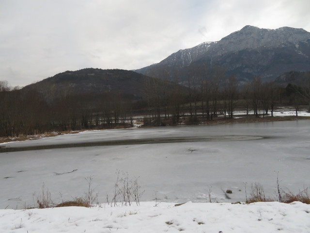 IMG-8750