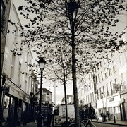 Scan-131103-0014