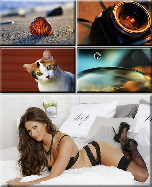 Quality Wallpaper In High Resolution. Part 362