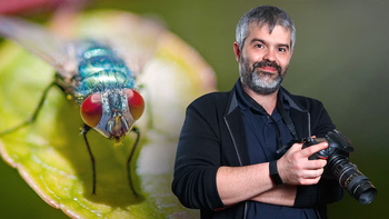 Domestika - Introduzione alla fotografia macro - Ita