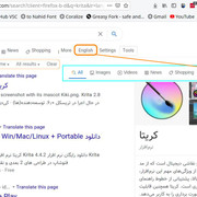 Google Toggle Persian/English