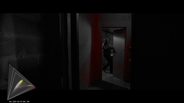 gamut-RONIN0226