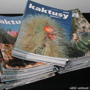 IMG-3266