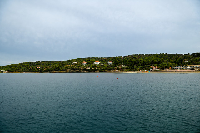 pic-354.jpg