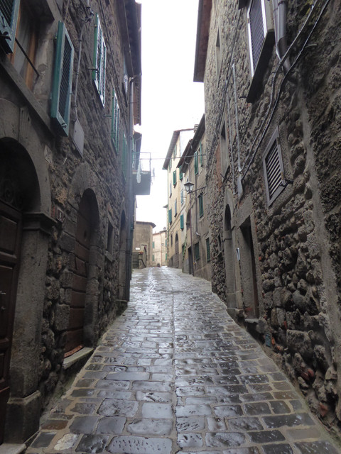 P1010495.jpg