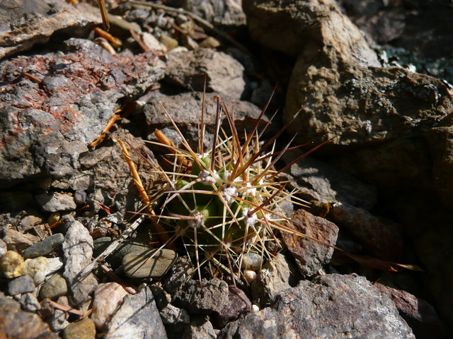 P1300336