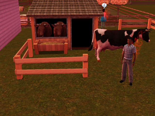 Screenshot-29