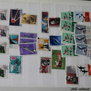IMG-3020