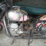 Guzzi Pink Lady Ambassador