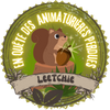 https://i.ibb.co/F0952qK/Leetchie.png