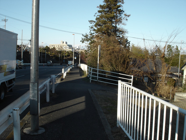 2012-01-06-276.jpg