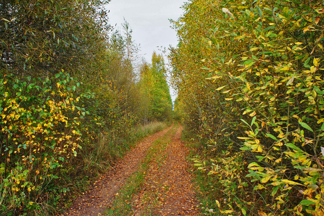 lakeway-01.jpg