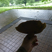 P1320738