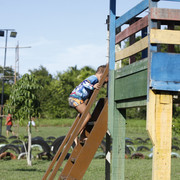 ICC8155