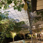 IMG-3341