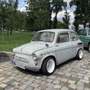 IMG-8336