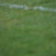 IMG-6808