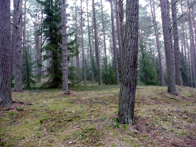 P1050423