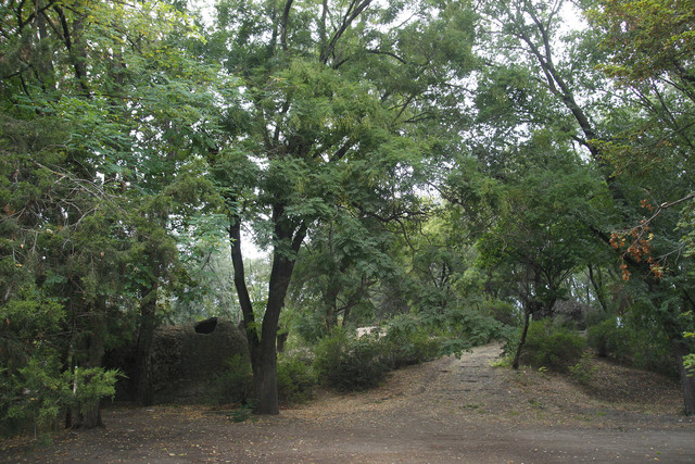 2a03776m