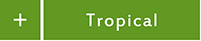 Tropical.jpg